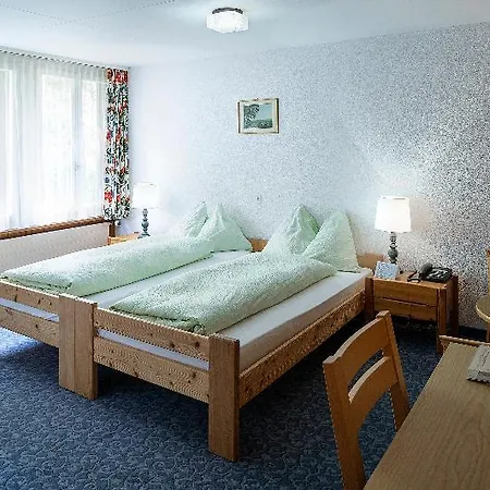 Szálloda Jungfrau Lodge, Swiss Mountain